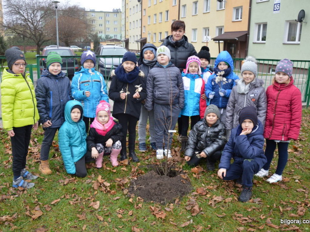 Ślubowanie uczniów klas I w Szkole Podstawowej Nr 3 z Oddziałami Integracyjnymi w Biłgoraju (FOTO)