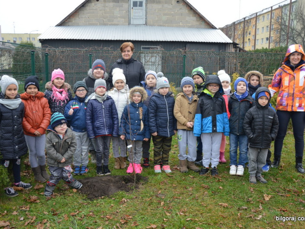 Ślubowanie uczniów klas I w Szkole Podstawowej Nr 3 z Oddziałami Integracyjnymi w Biłgoraju (FOTO)