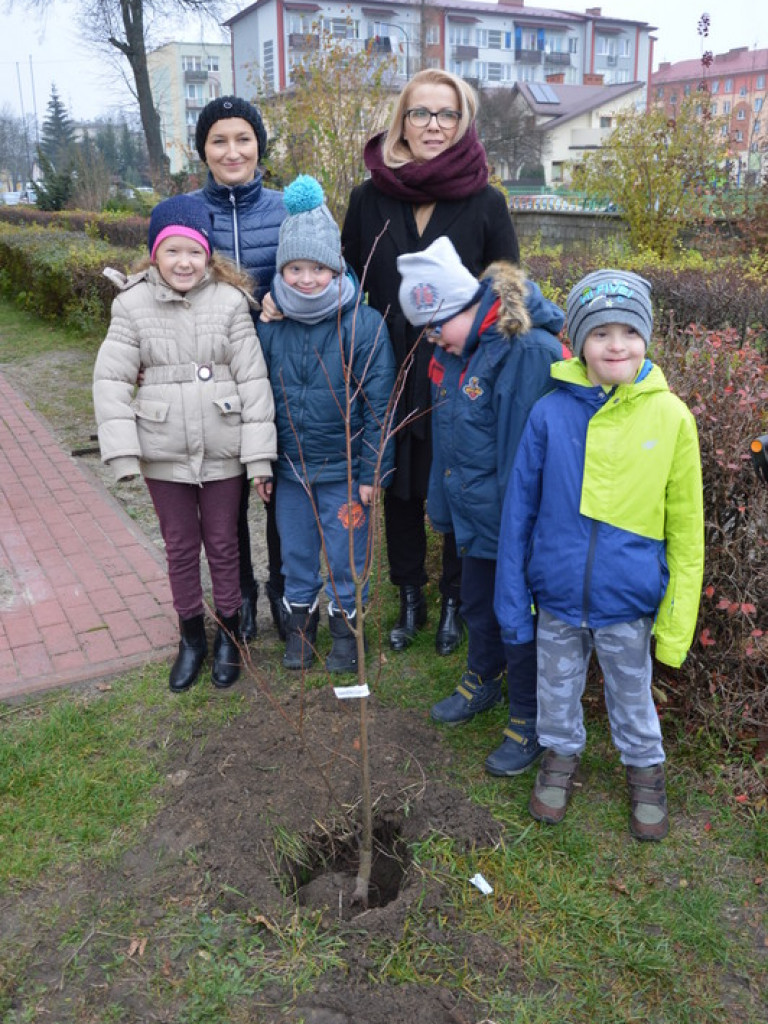 Ślubowanie uczniów klas I w Szkole Podstawowej Nr 3 z Oddziałami Integracyjnymi w Biłgoraju (FOTO)