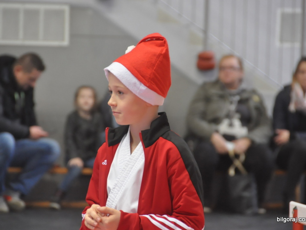 Mikołajkowy Turniej Dzieci w Karate Tradycyjnym (FOTO)