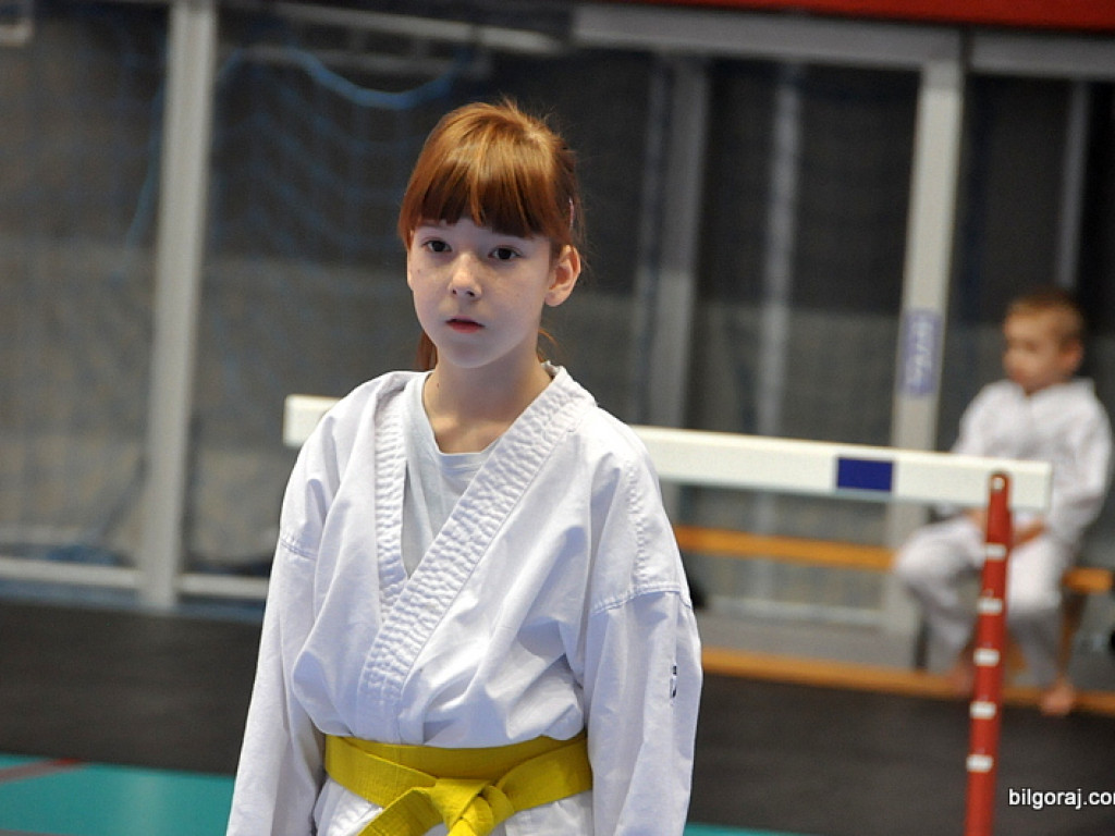 Mikołajkowy Turniej Dzieci w Karate Tradycyjnym (FOTO)