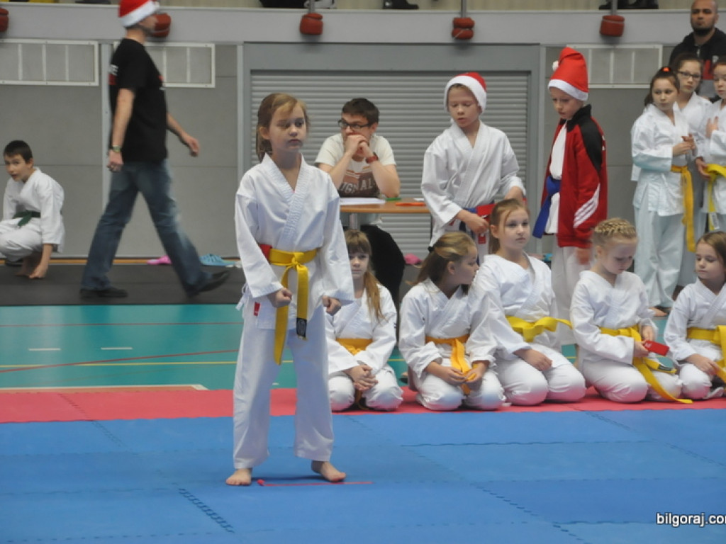 Mikołajkowy Turniej Dzieci w Karate Tradycyjnym (FOTO)