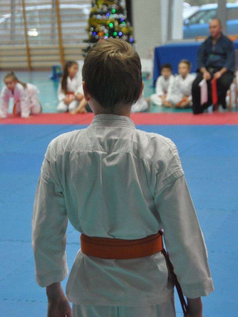 Mikołajkowy Turniej Dzieci w Karate Tradycyjnym (FOTO)