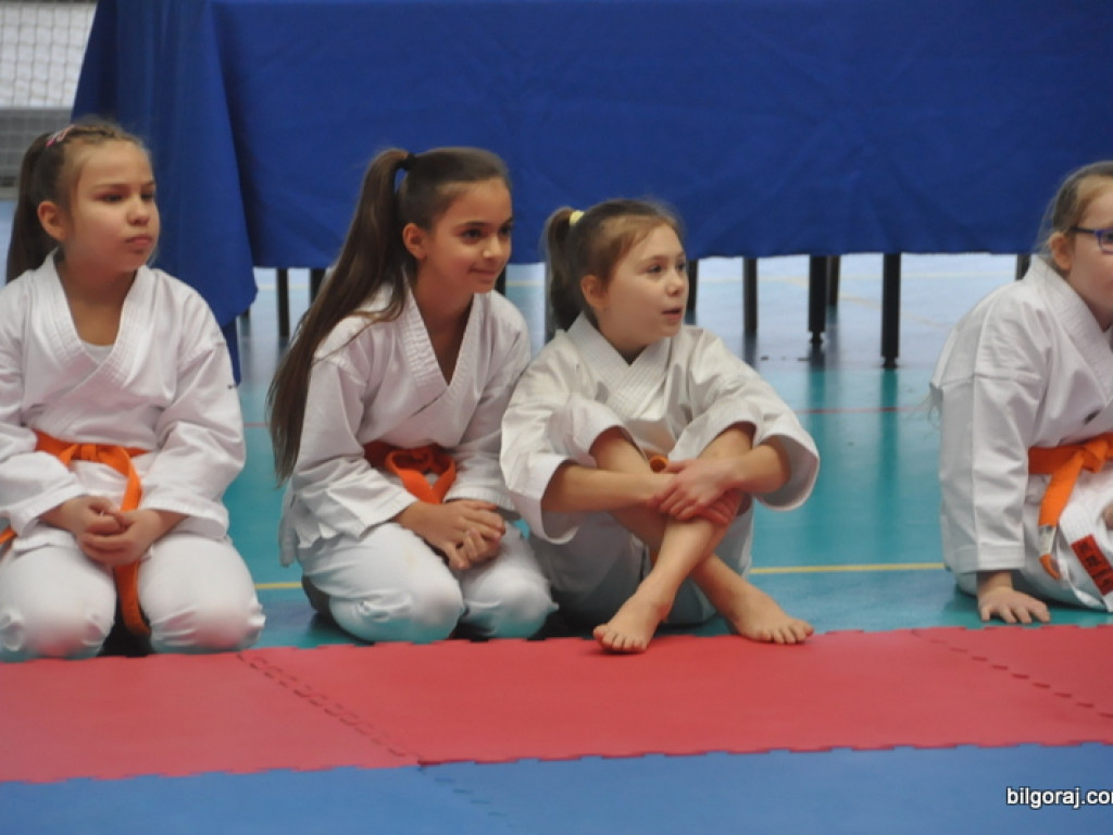 Mikołajkowy Turniej Dzieci w Karate Tradycyjnym (FOTO)