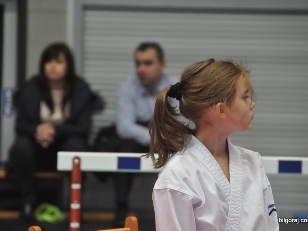 Mikołajkowy Turniej Dzieci w Karate Tradycyjnym (FOTO)