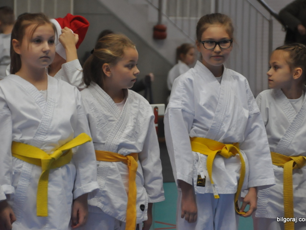 Mikołajkowy Turniej Dzieci w Karate Tradycyjnym (FOTO)