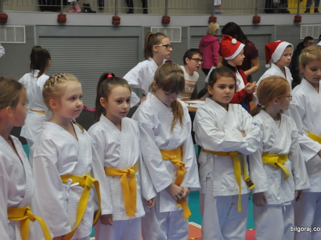 Mikołajkowy Turniej Dzieci w Karate Tradycyjnym (FOTO)