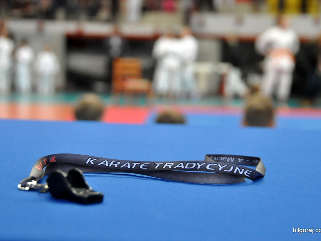 Mikołajkowy Turniej Dzieci w Karate Tradycyjnym (FOTO)