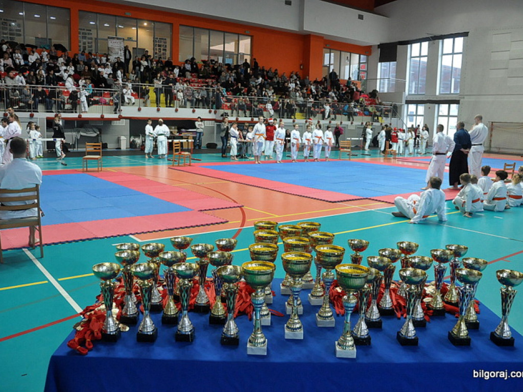 Mikołajkowy Turniej Dzieci w Karate Tradycyjnym (FOTO)