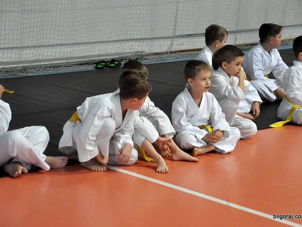 Mikołajkowy Turniej Dzieci w Karate Tradycyjnym (FOTO)