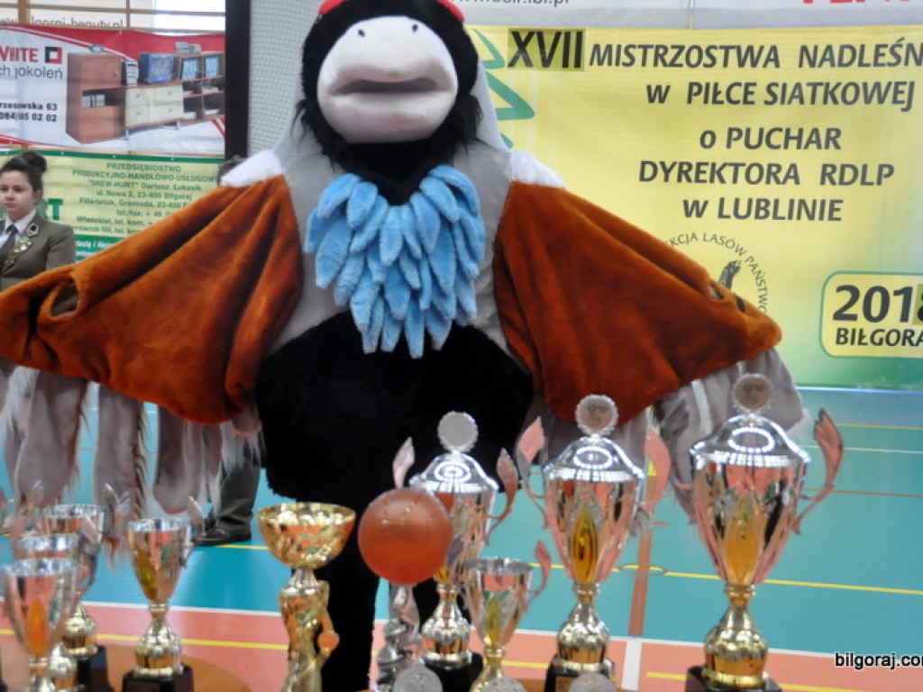 Siatkarskie mistrzostwa lubelskich leśników (FOTO, WYNIKI)