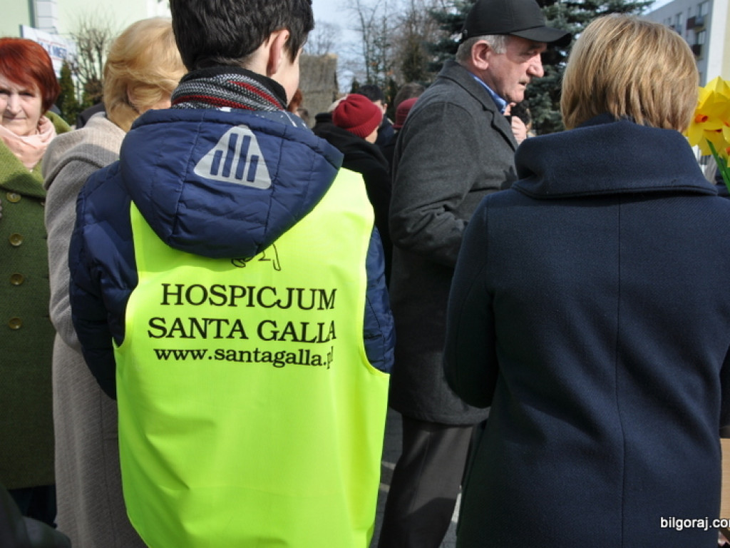 Żonkil za wsparcie hospicjum (FOTO)