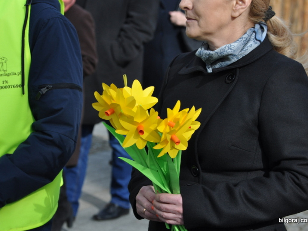 Żonkil za wsparcie hospicjum (FOTO)