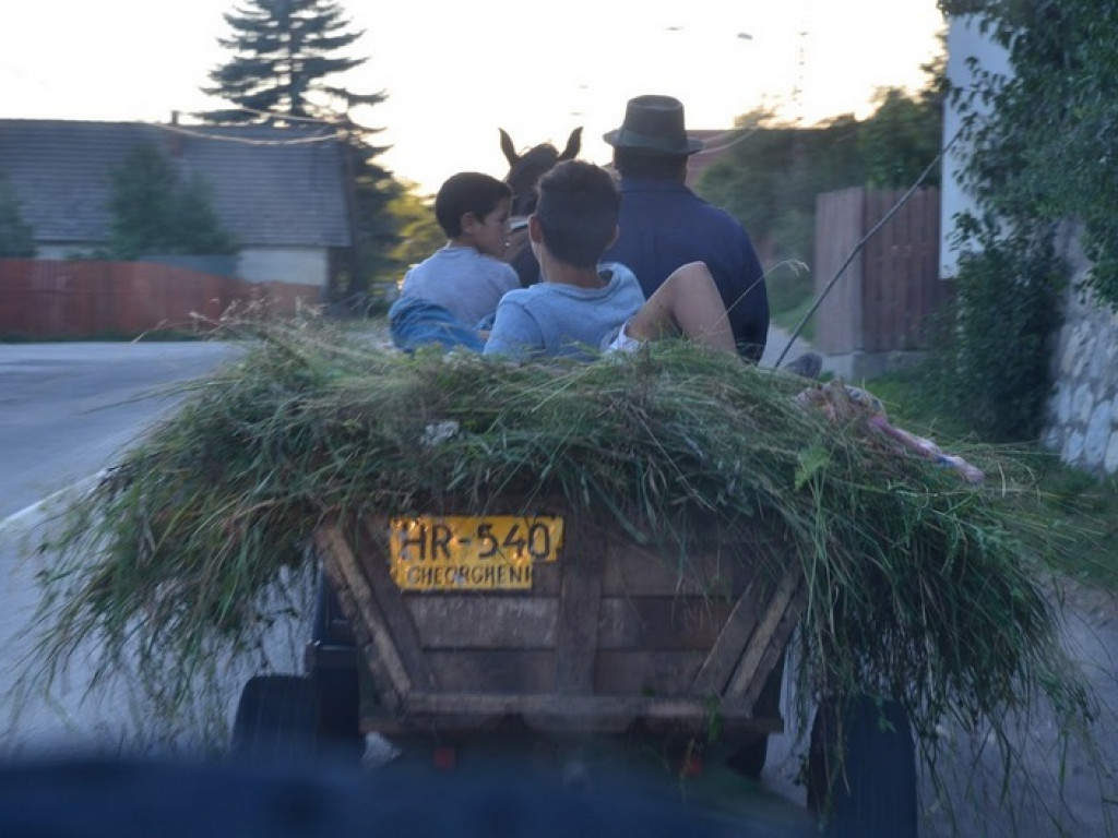 Podróżnicze spotkania w Gminie Tereszpol (FOTO)
