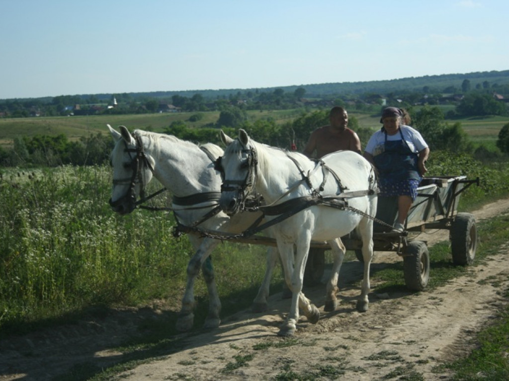 Podróżnicze spotkania w Gminie Tereszpol (FOTO)