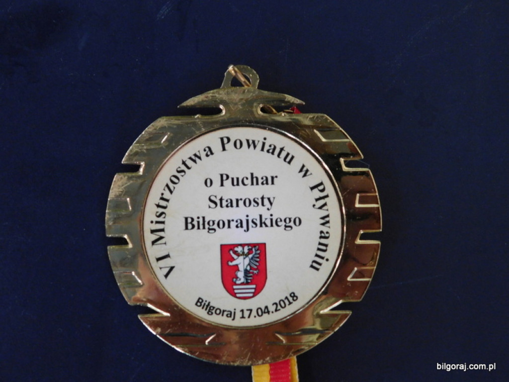 Pływali o Puchar Starosty (FOTO, WYNIKI)