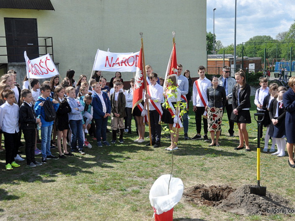 Dęby Niepodległości
