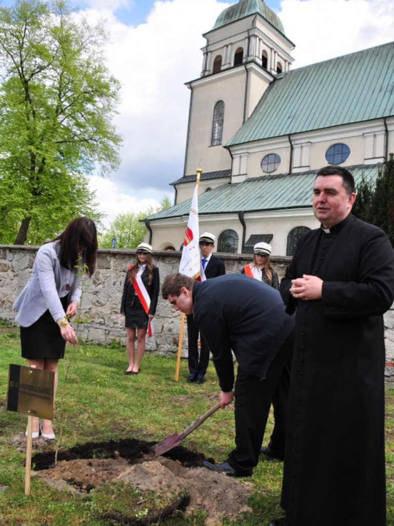Dęby Niepodległości