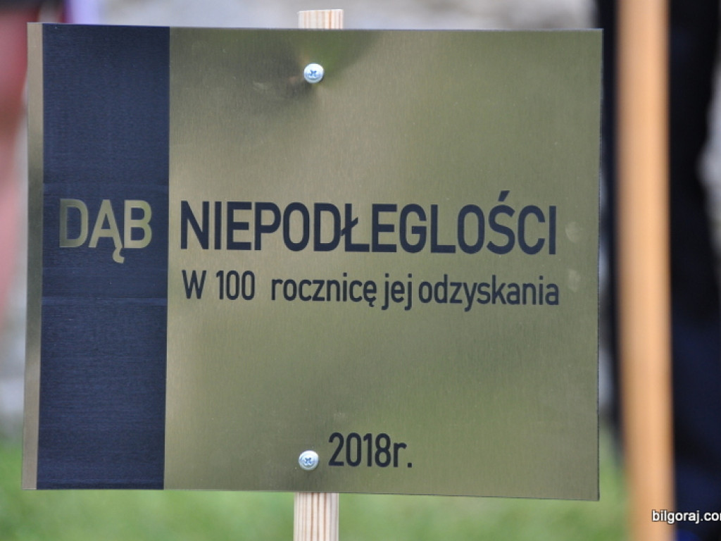 Dęby Niepodległości