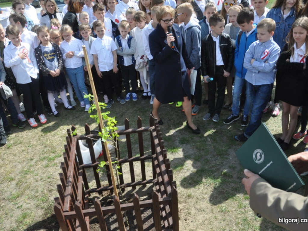 Dęby Niepodległości