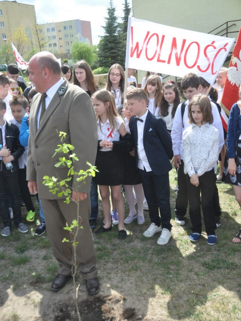 Dęby Niepodległości