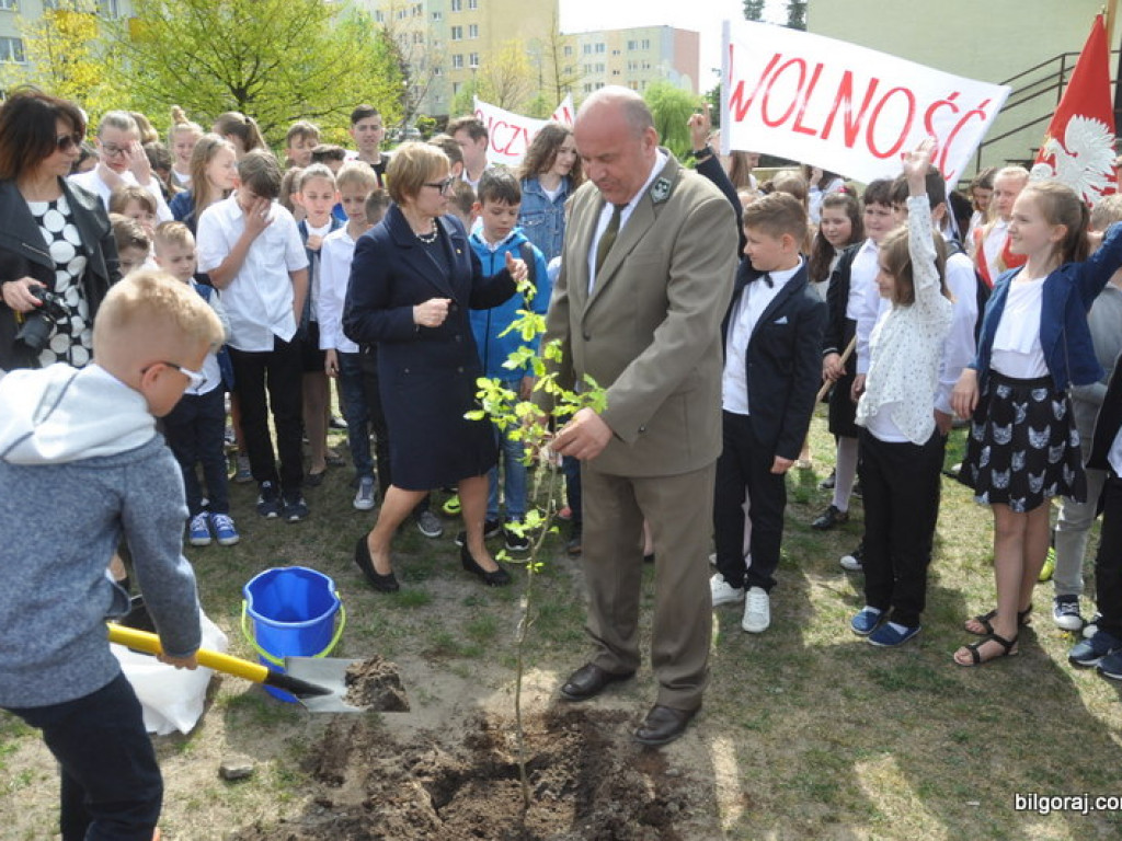 Dęby Niepodległości