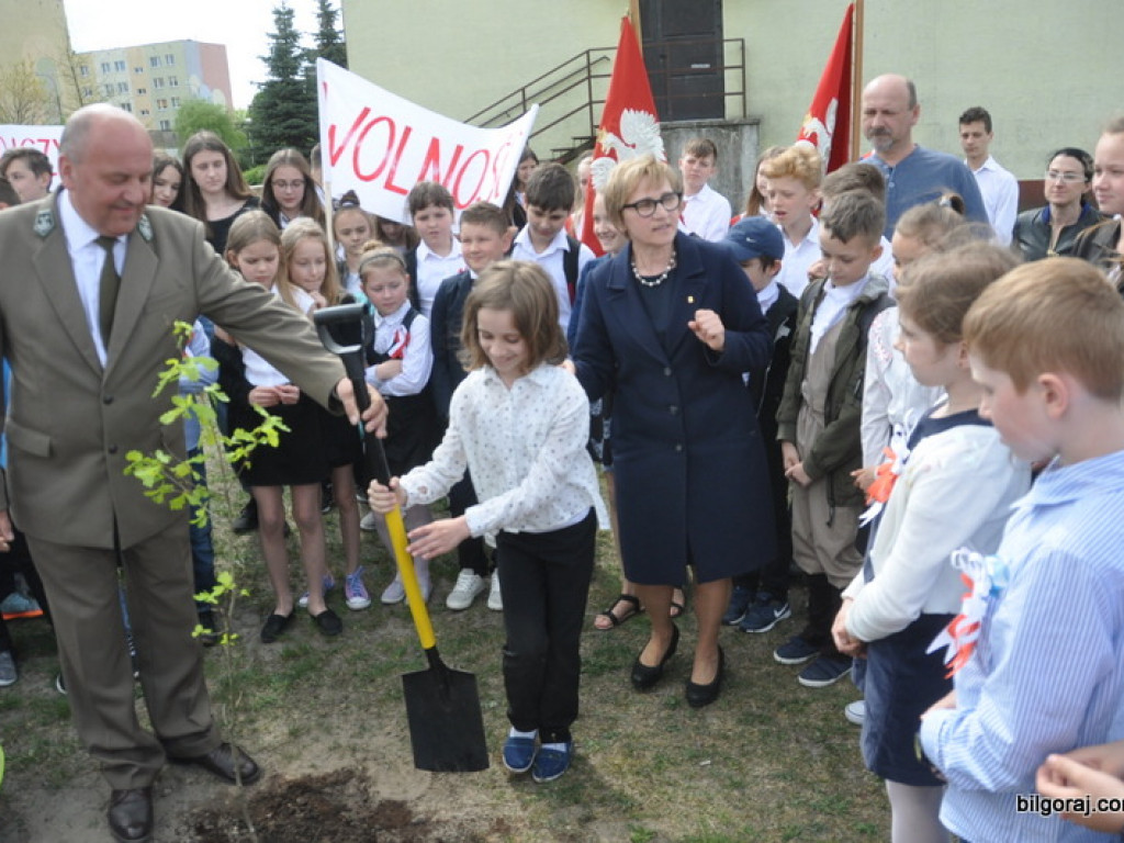 Dęby Niepodległości