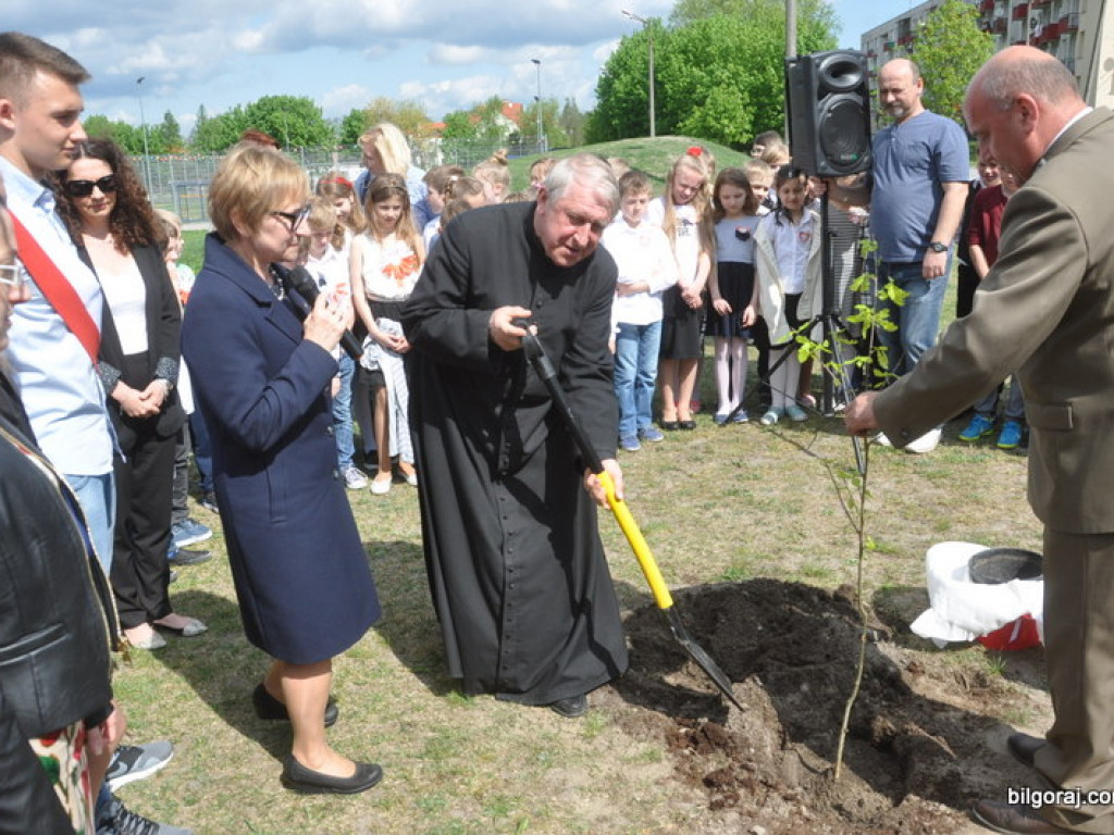 Dęby Niepodległości