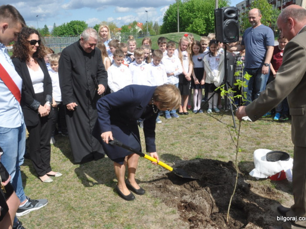 Dęby Niepodległości