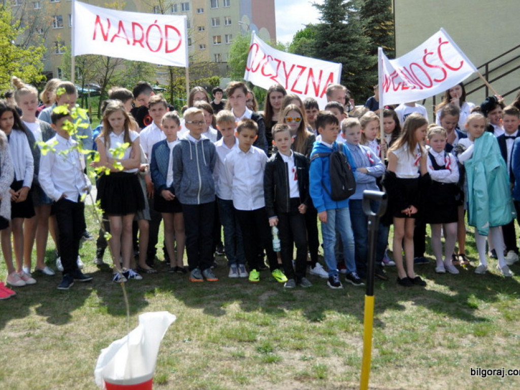 Dęby Niepodległości