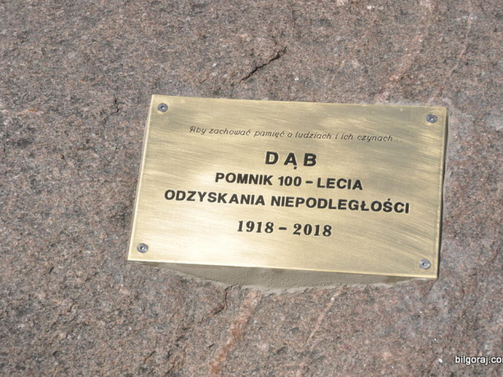 Ku czci Niepodległej (FOTO)