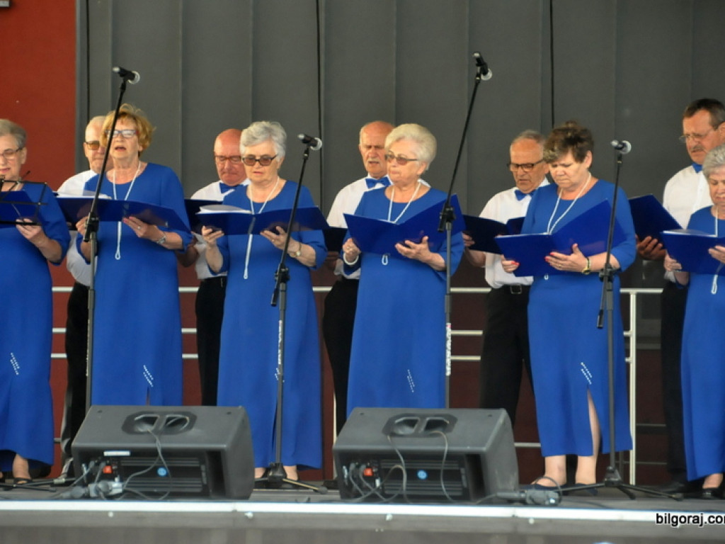 Majowy podwieczorek muzyczny (FOTO)