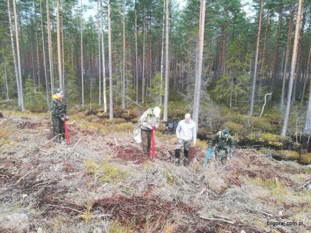 Praktyki zawodowe Leśników w Niemczech i Szwecji (FOTO)