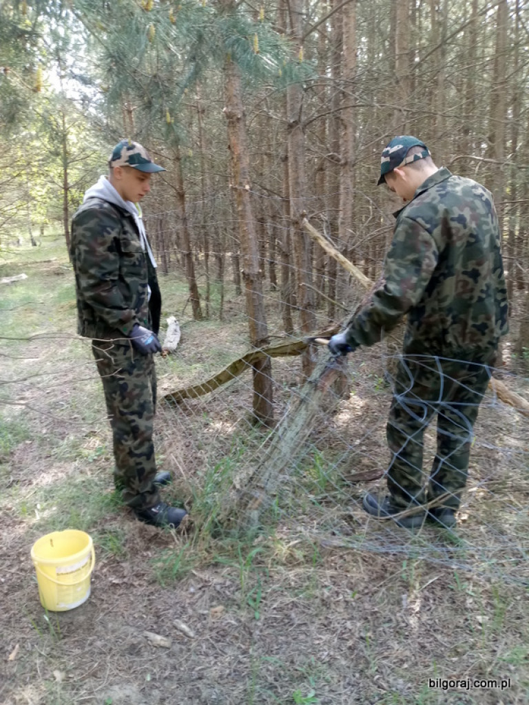 Praktyki zawodowe Leśników w Niemczech i Szwecji (FOTO)