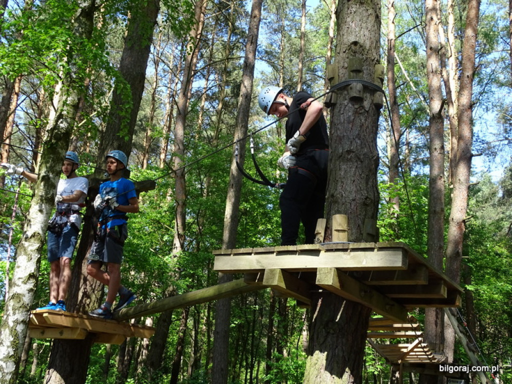 Praktyki zawodowe Leśników w Niemczech i Szwecji (FOTO)