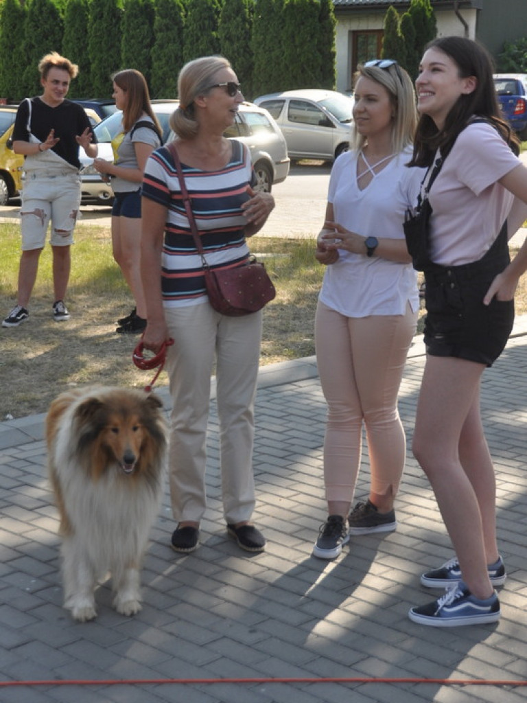Animal Party (FOTO)