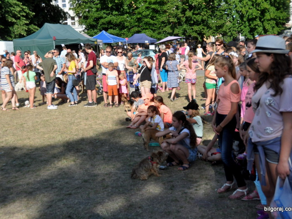 Animal Party (FOTO)