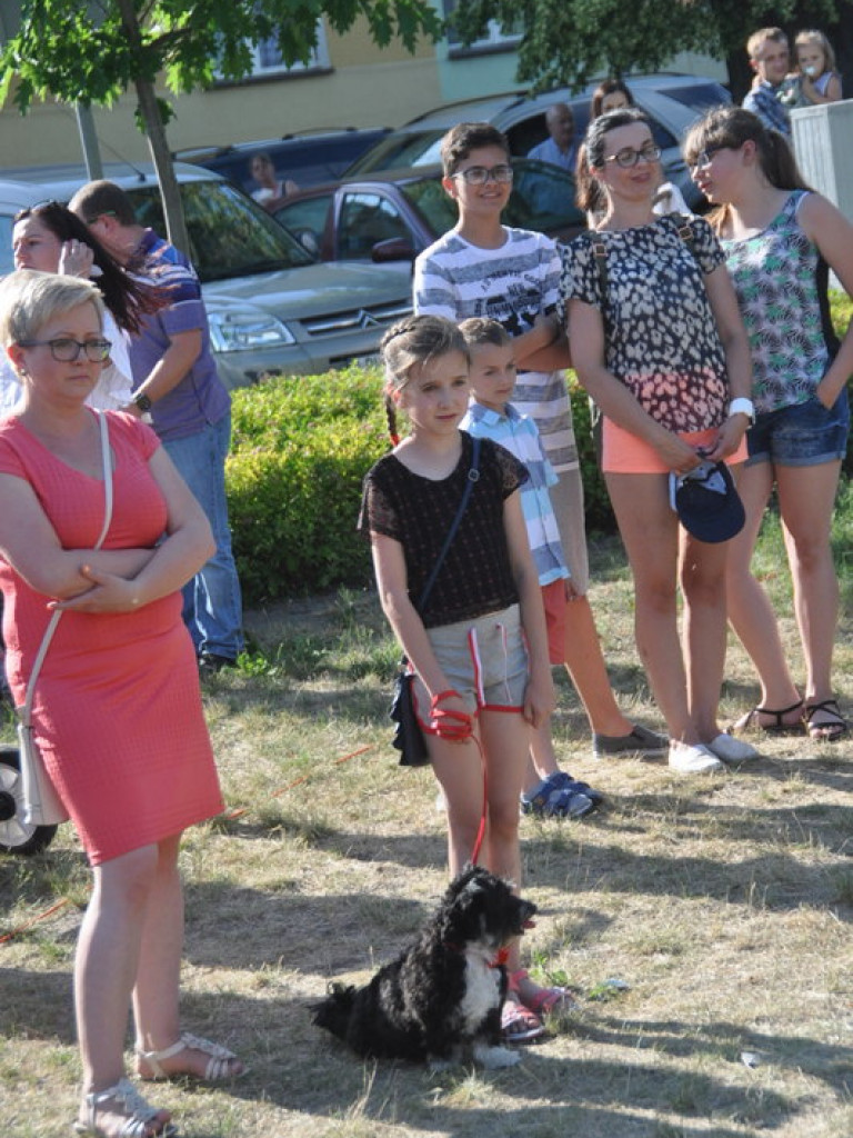 Animal Party (FOTO)