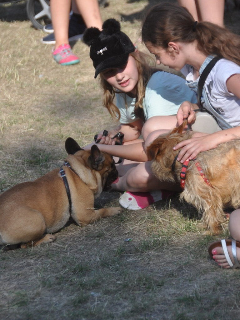 Animal Party (FOTO)