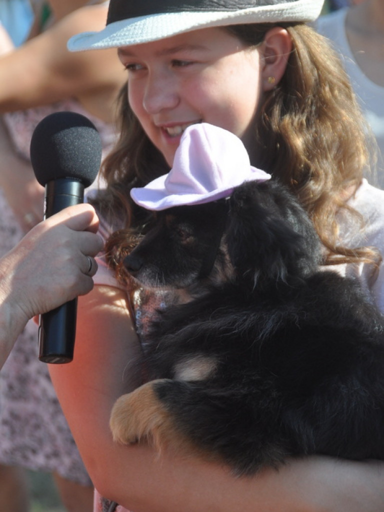Animal Party (FOTO)