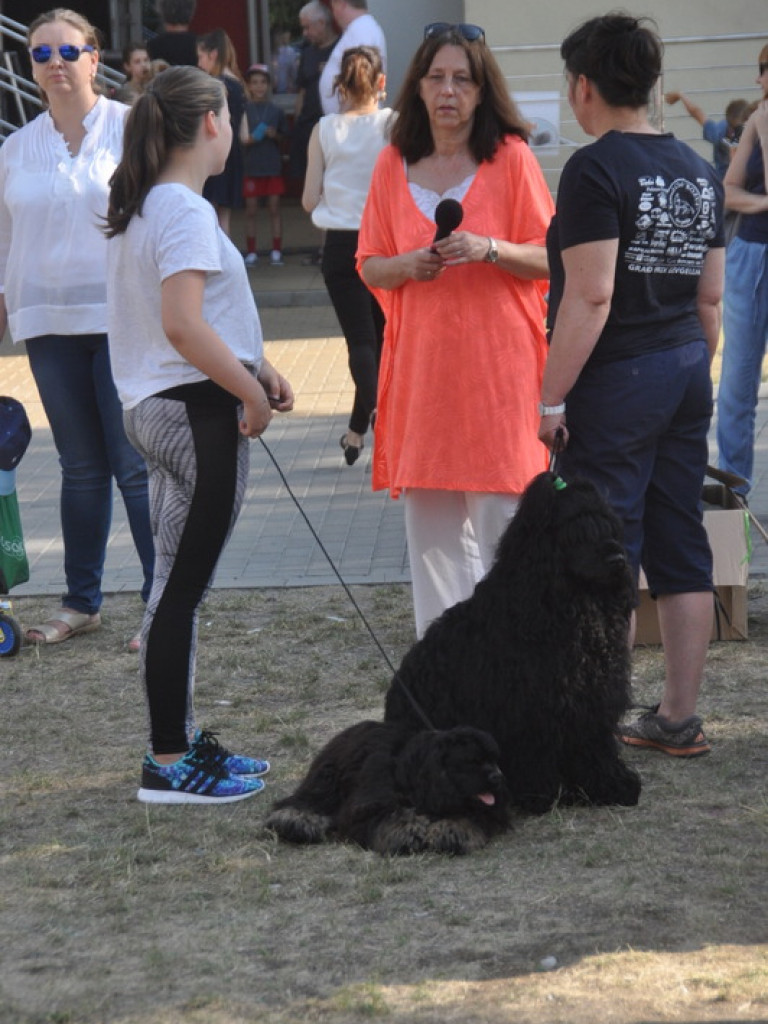 Animal Party (FOTO)