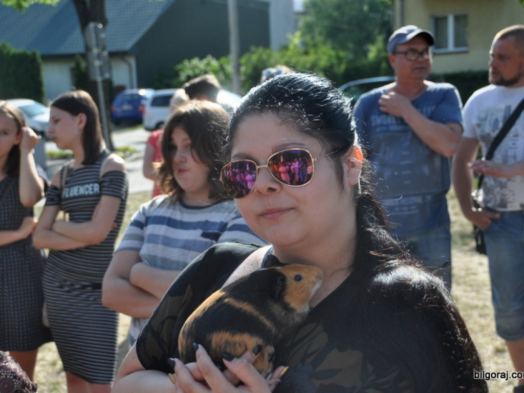 Animal Party (FOTO)