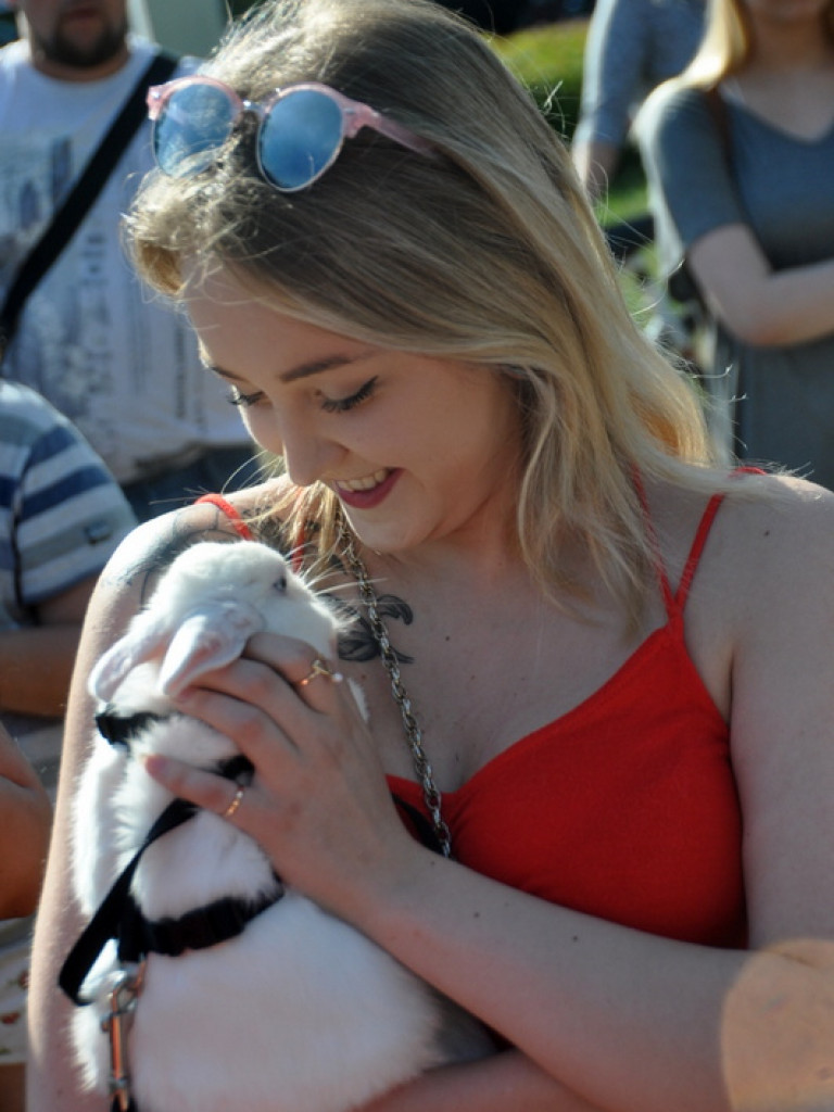 Animal Party (FOTO)