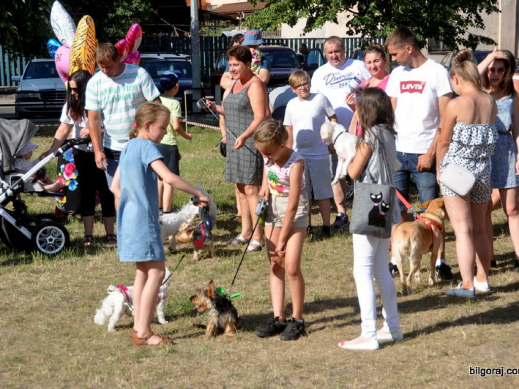 Animal Party (FOTO)