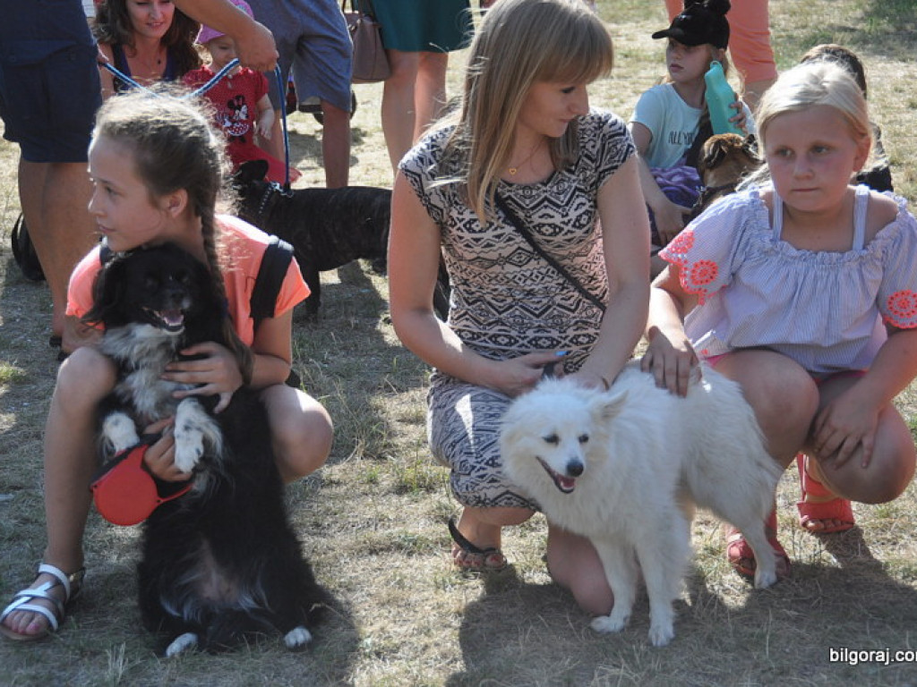 Animal Party (FOTO)