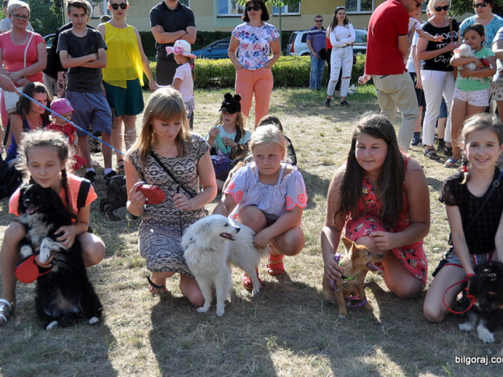 Animal Party (FOTO)