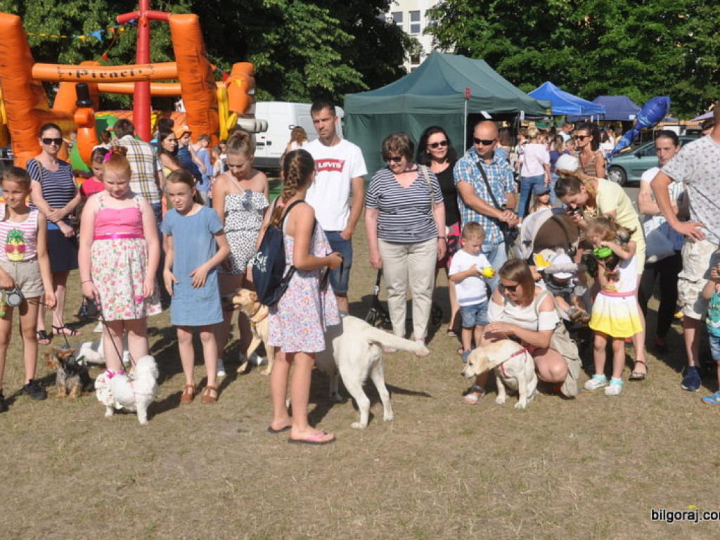 Animal Party (FOTO)