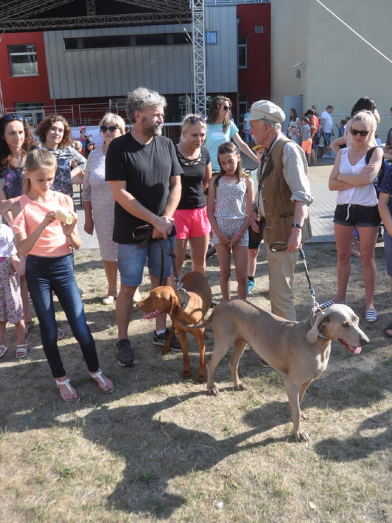 Animal Party (FOTO)