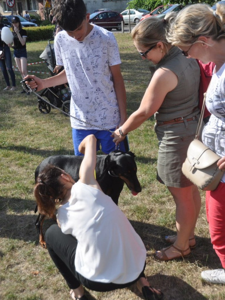 Animal Party (FOTO)
