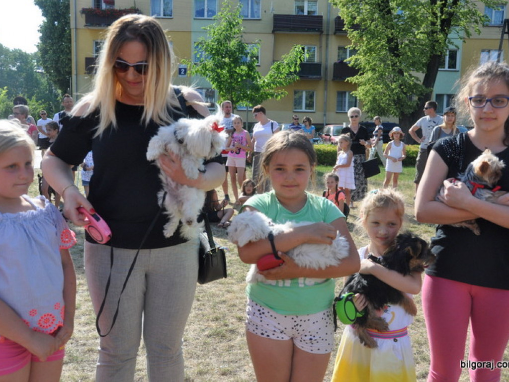Animal Party (FOTO)